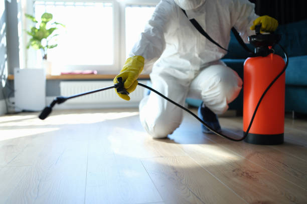 Best Flea Control Services  in Clayton, CA