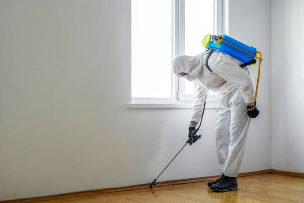 Best Mosquito Control Services  in Clayton, CA