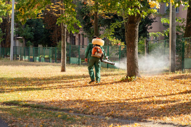 Best Residential Pest Control  in Clayton, CA