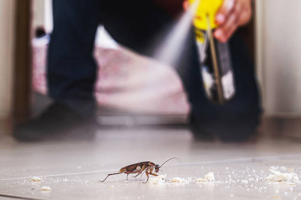Trusted Clayton, CA Pest Control Experts