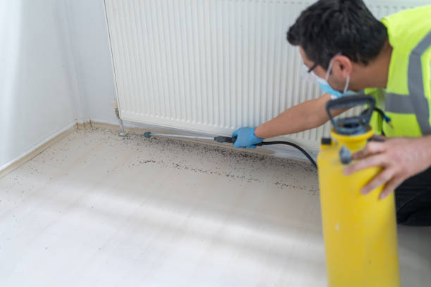 Best Pest Prevention Services  in Clayton, CA